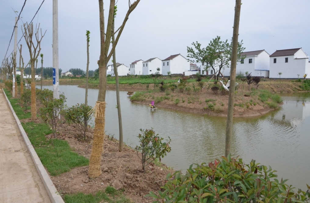 《農村黑臭水體治理工作指南》來了！