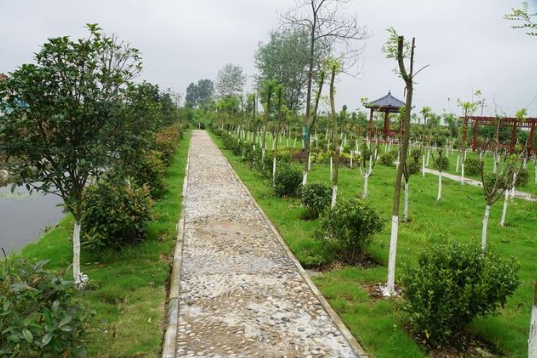 福建省生態環境廳、農業農村廳關于進一步加強農村生活污水治理工作的通知！